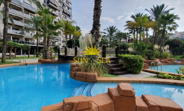 Long Term Rental - Apartment - San Juan Playa - Cabo De Las Huertas