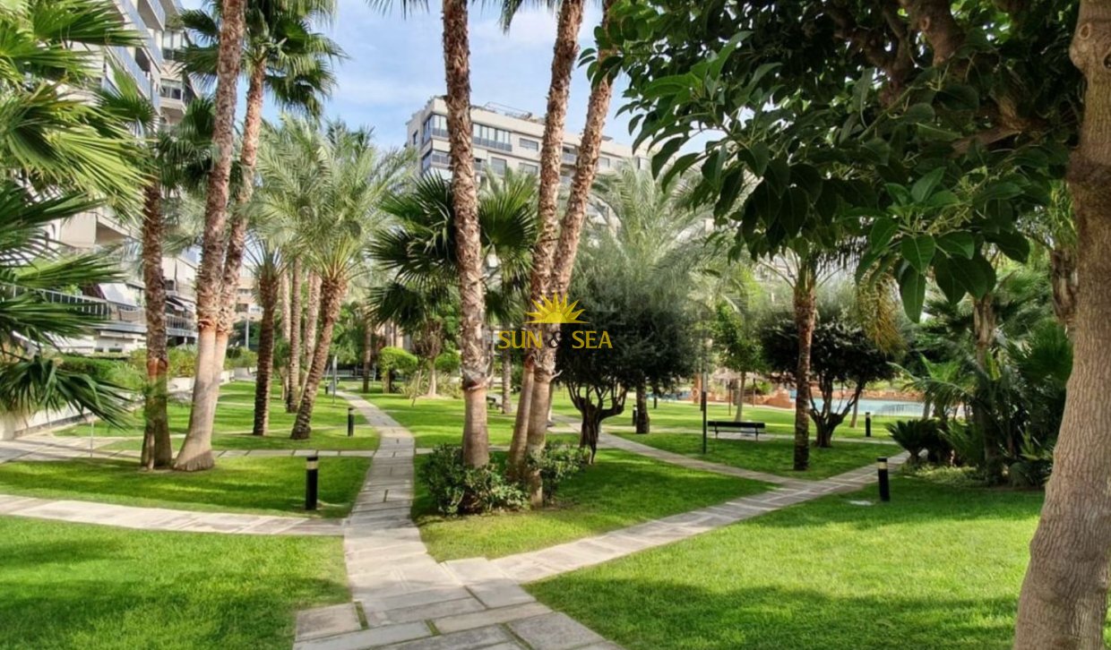 Long Term Rental - Apartment - San Juan Playa - Cabo De Las Huertas