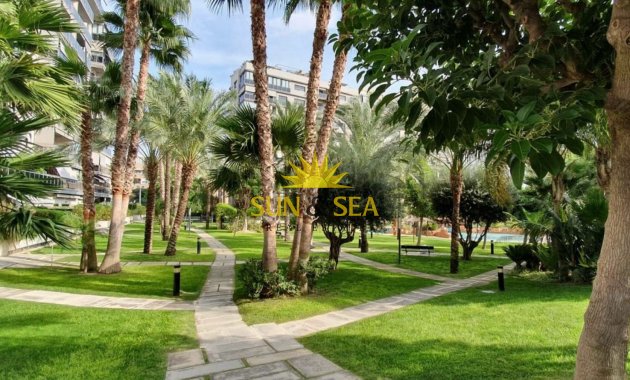 Long Term Rental - Apartment - San Juan Playa - Cabo De Las Huertas