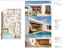 Nouvelle construction - detached - Pilar de la Horadada